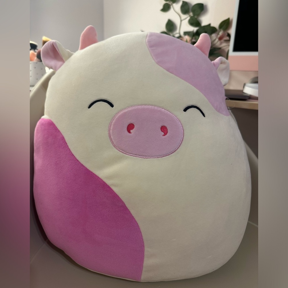 Squishmallows NWT